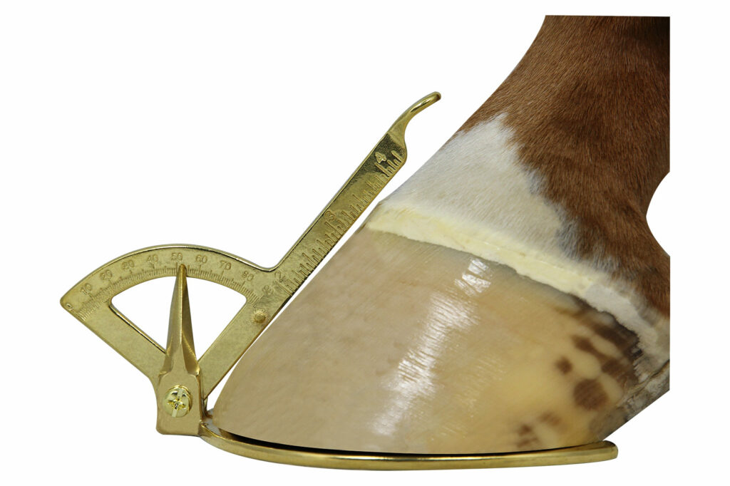 Brass Hoof Measure | Colesdale
